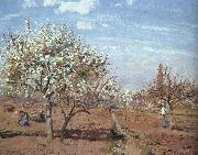 Camille Pissaro Orchard in Bloom at Louveciennes Spain oil painting reproduction